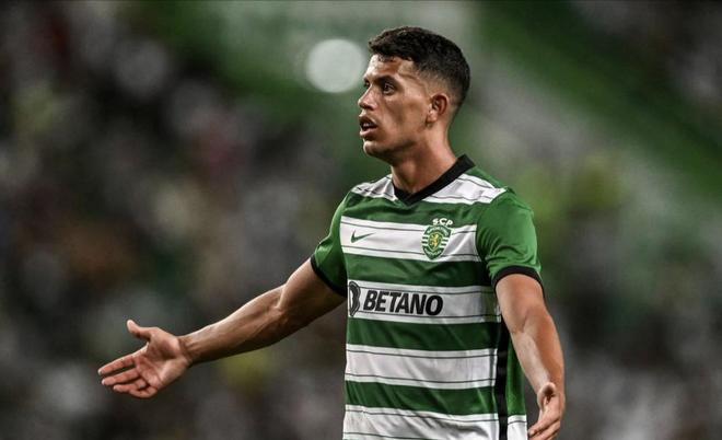 的迅速复苏 的迅速复苏